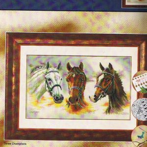 LANARTE GROOT BORDUURPAKKET,THREE CHAMPIONS 34768 op=op