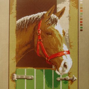 OPRUIMING VOORBEDRUKT BORDUURSTRAMIEN , PAARDENHOOFD 6034