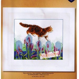 VERVACO BORDUURPAKKET, POES OP VERKENNING