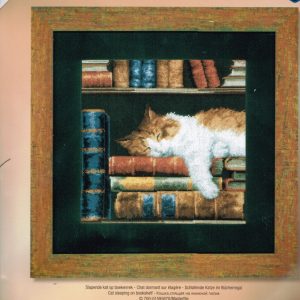 AANBIEDING VERVACO BORDUURPAKKET, SLAPENDE KAT OP BOEKENREK