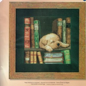 AANBIEDING VERVACO BORDUURPAKKET, SLAPENDE HOND OP BOEKENREK