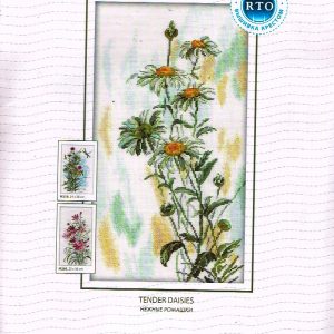 RTO BORDUURPAKKET , TENDER  DAISIES  261