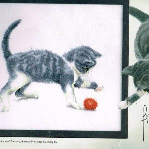 FRANCIEN's KATTEN BORDUURPAKKET , SPELENDE POESJE   036