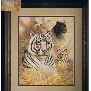 AANBIEDING DIMENSIONS BORDUURPAKKET, EYES IN THE WILD