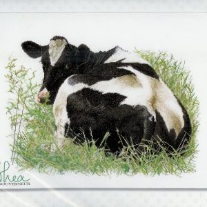 AANBIEDING THEA GOUVERNEUR BORDUURPAKKET, KOE ACHTERKANT 452