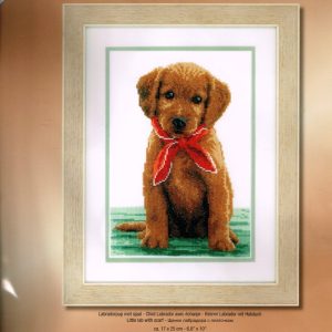 VERVACO BORDUURPAKKET, LABRADORPUP MET SJAAL