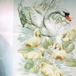 AANBIEDING PAKO GROOT BORDUURPAKKET, ZWAAN met KLEINTJES