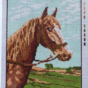 OPRUIMING VOORBEDRUKT BORDUURSTRAMIEN, PAARD 1905