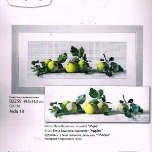 LUCA GROOT BORDUURPAKKET , APPELS 2259