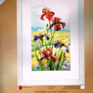 VERVACO BORDUURPAKKET, IRISSEN IN OCHTENDLICHT pn-0148482
