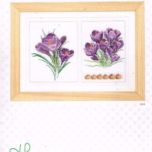 AANBIEDING THEA GOUVERNEUR BORDUURPAKKET, CROCUS  444