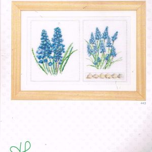 AANBIEDING THEA GOUVERNEUR BORDUURPAKKET, MUSCARI 443
