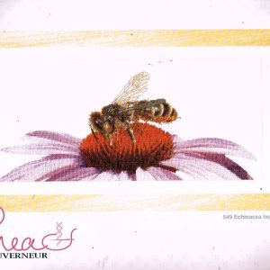 AANBIEDING THEA GOUVERNEUR BORDUURPAKKET, ECHINACEA HONEY BEE 549