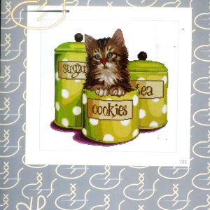 THEA GOUVERNEUR BORDUURPAKKET, COOKIE TIME  735
