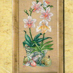 AANBIEDING PERMIN GROOT BORDUURPAKKET, ORCHIDEEEN IN POTTEN 70-5127