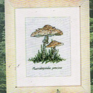 PERMIN BORDUURPAKKET , PADDESTOELEN 12- 2432