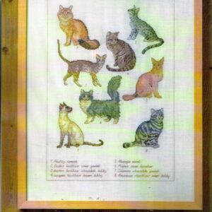AANBIEDING PERMIN GROOT BORDUURPAKKET , CATS 70-6402