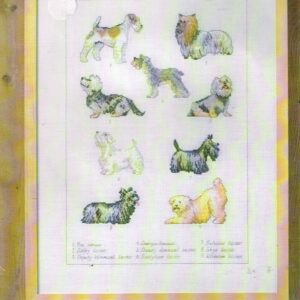 AANBIEDING PERMIN GROOT BORDUURPAKKET , TERRIERS 70-6403