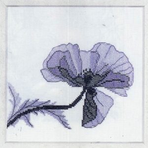 AANBIEDING LANARTE BORDUURPAKKET, POPPY 1 35131 en 35131 A