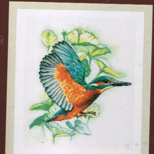 AANBIEDING LANARTE BORDUURPAKKET, FLYING KINGFISHER 200096